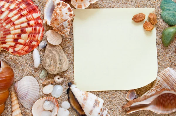 Seashells with sand — Stock Photo, Image