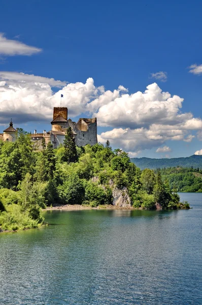 Château sur une colline à côté d'un lac (Nedec, Pologne ) — Photo