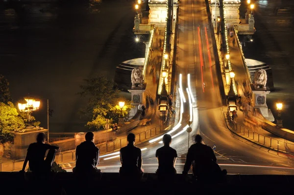 Νέος στην γέφυρα των αλυσίδων, Βουδαπέστη — Φωτογραφία Αρχείου