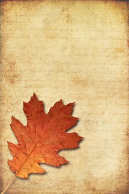 Grunge background with oak autumn leave clipart