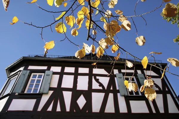 Herbstblätter vor altem Fachwerkhaus — Stock fotografie