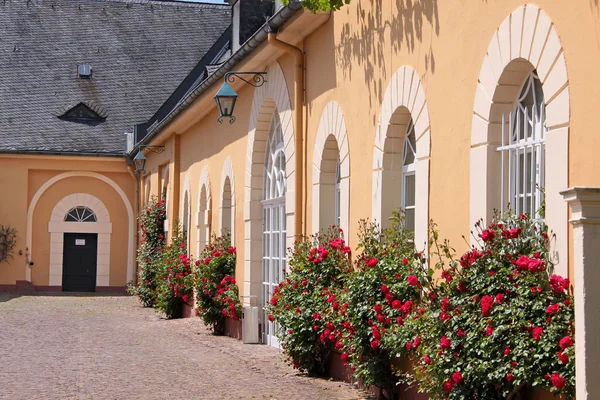 Johannisberg 궁전 — 스톡 사진