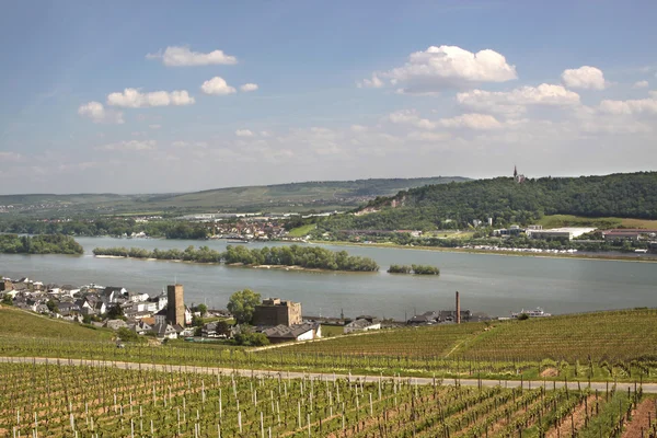 Ruedesheim nel Rheingau — Foto Stock