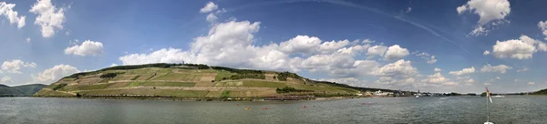 鲁埃德海姆附近的莱茵河流域中部 — 图库照片