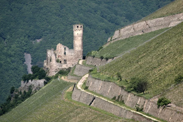Ruína de ehrenfels de castelo — Fotografia de Stock