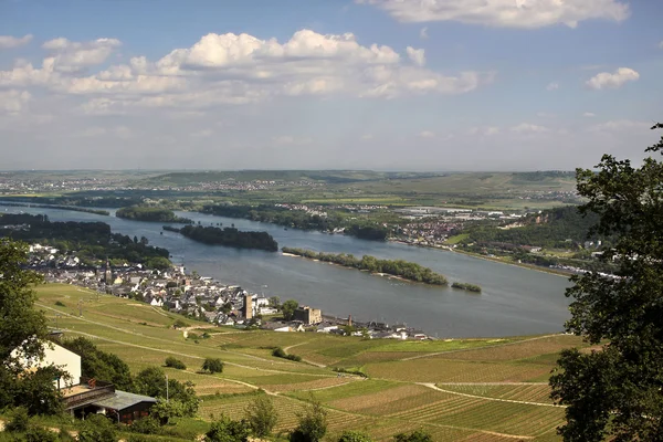Rheingau içinde ruedesheim — Stok fotoğraf