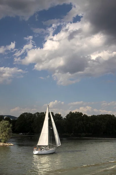 Zeilboot op de Rijn — Stockfoto