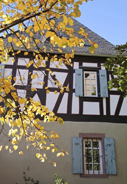 Autumn leaves in front of an old half-timbered house — Stock Photo, Image