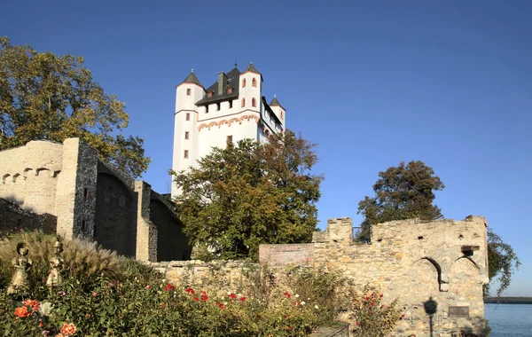 Château électoral d'Eltville — Photo