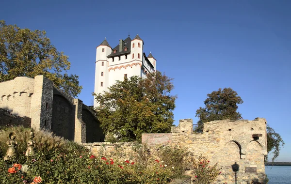 Volební zámek Eltville — Stock fotografie