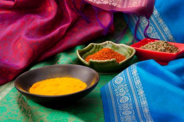 Indian fabric and spices clipart