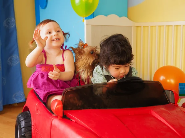 Barn med hund i bilen — Stockfoto