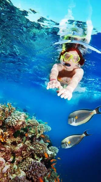 Swimming with the fishes — Stock Photo, Image