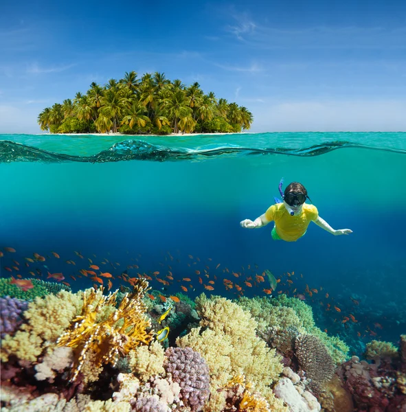 Corals, diver and palm island — Stock Photo, Image