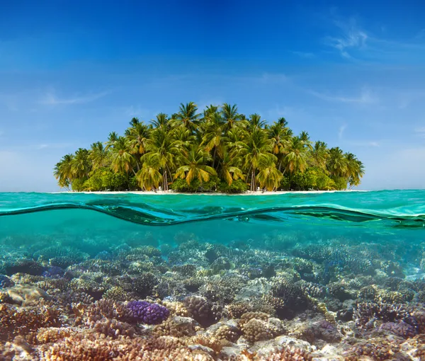 Koral rafa i wyspy — Zdjęcie stockowe