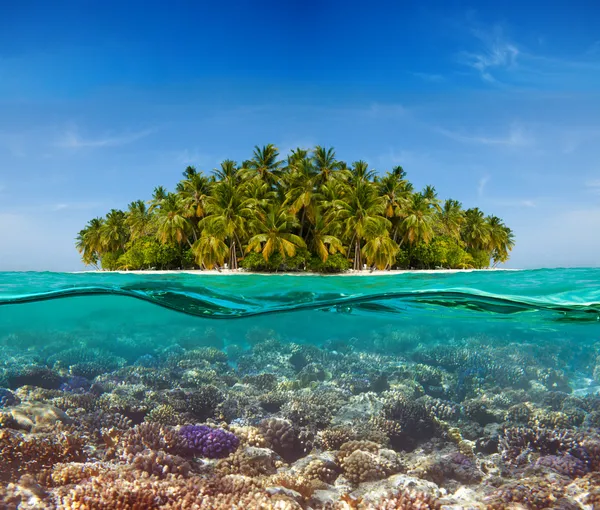 stock image Coral reef and the Island