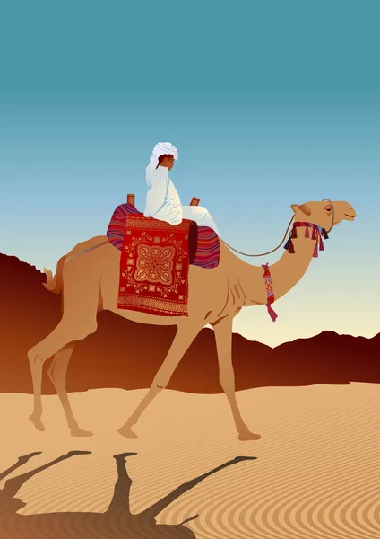 Mann sitzt auf einem Kamel — Stockvektor