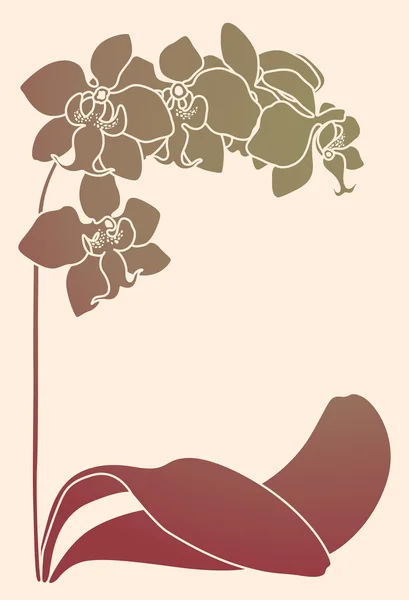 Orchidée — Image vectorielle