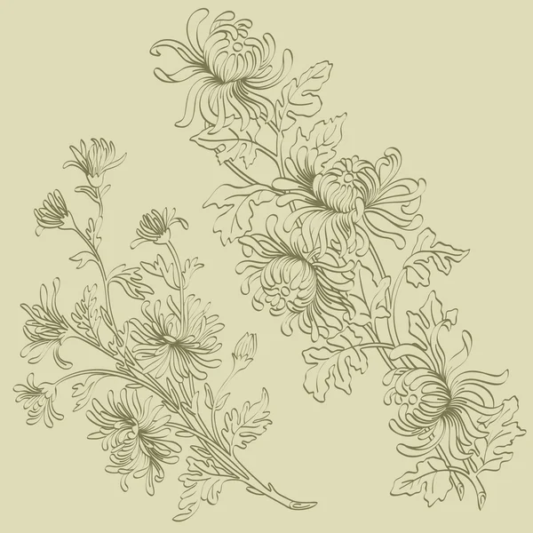Sprigs of chrysanthemum — Stock Vector