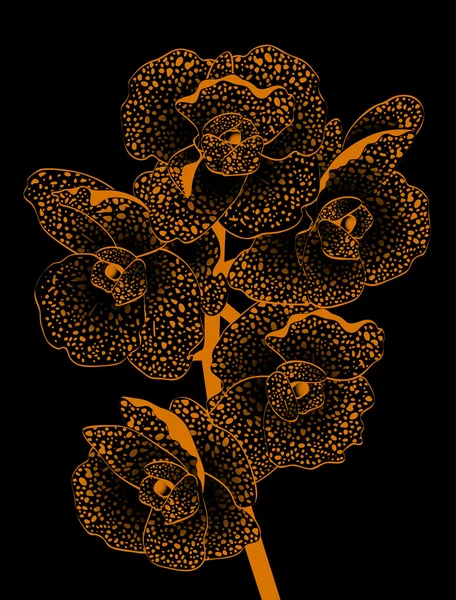 Orquídea dorada — Archivo Imágenes Vectoriales
