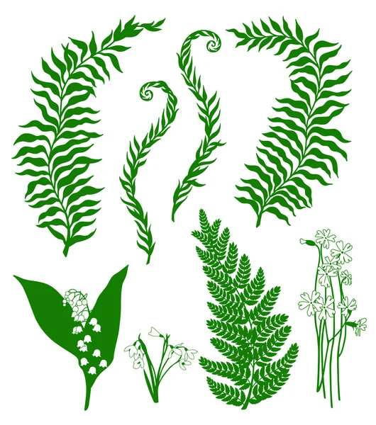 Plantas forestales — Archivo Imágenes Vectoriales