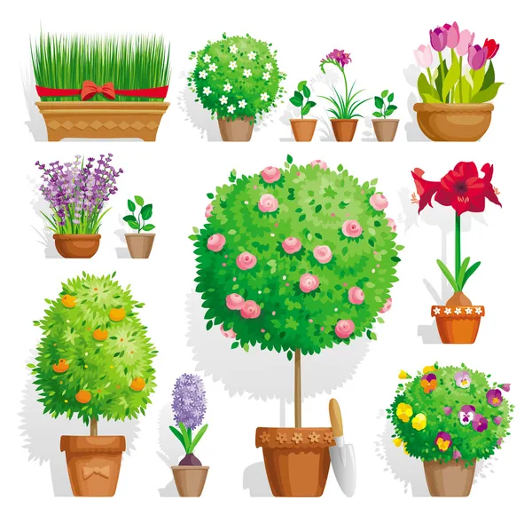 Σύνολο γλάστρες με φυτά — Διανυσματικό Αρχείο