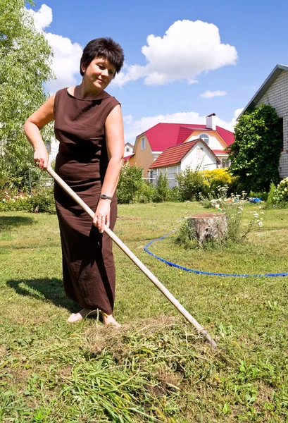 Женщина сгребает косой травы — стоковое фото