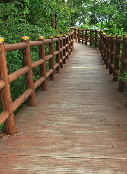 Narrow long garden path — Stock Photo, Image