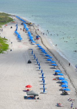 Aerial View of a Beach on Key Biscayne clipart