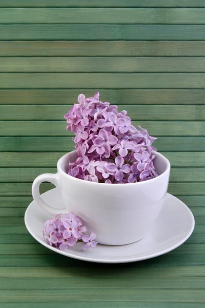 Lilac tea Royalty Free Stock Images