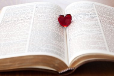 Heart on a bible, love for god's word clipart