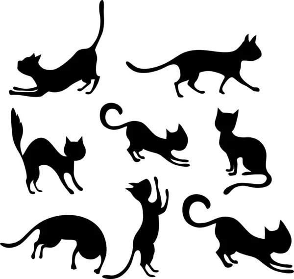 Kat ingesteld — Stockvector