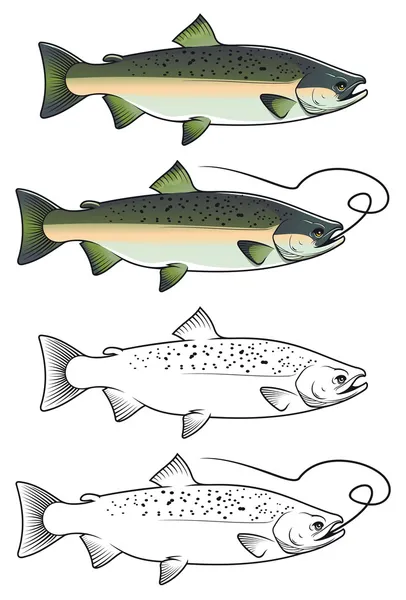 Pescado de salmón blanco — Archivo Imágenes Vectoriales