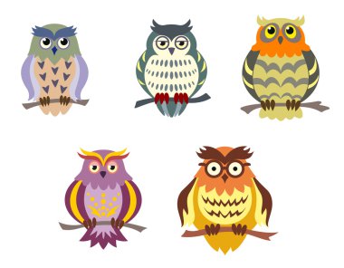 Color cartoon owls clipart