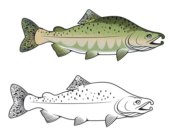 Hunchback salmon fish — Stock Vector
