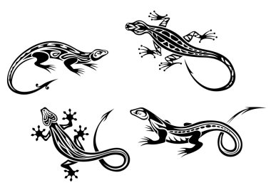 Lizard reptiles clipart