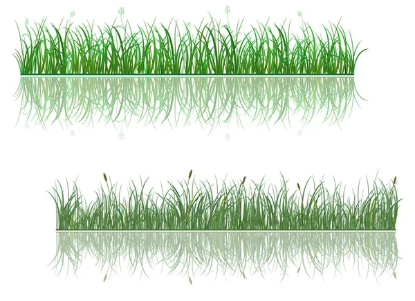 Зелена трава візерунки — стоковий вектор