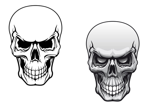 Human skulls — Stock Vector