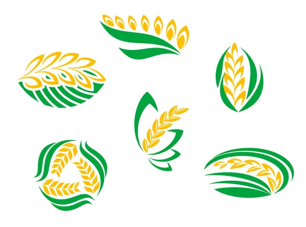 Symbole der Getreidepflanzen — Stockvektor