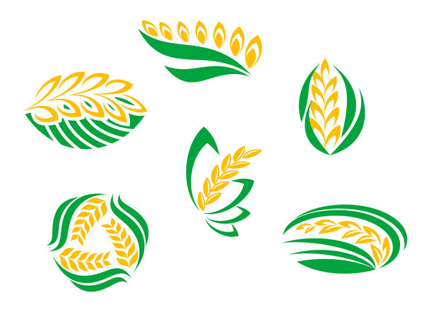 Symbols of cereal plants