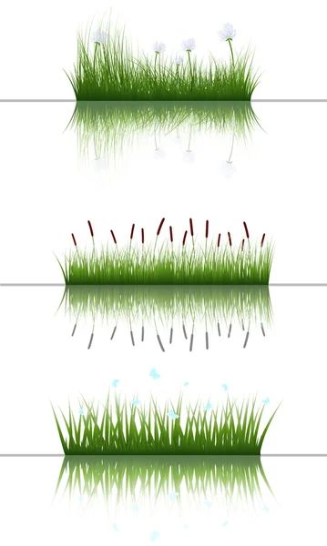 Gräs på vatten — Stock vektor