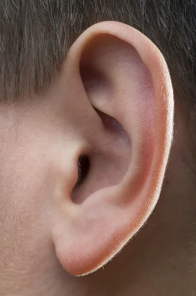 Childs'ın kulak — Stok fotoğraf