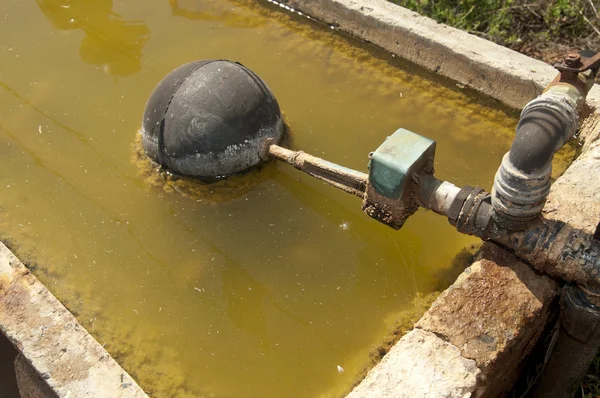 stock image Water Trough