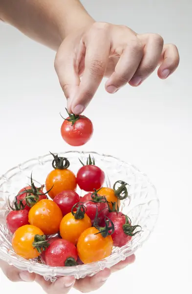 Cherry_tomatoes와 손 — 스톡 사진