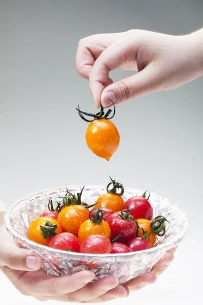 Cherry_tomatoes en hand — Stockfoto