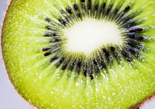 stock image A slice of kiwi