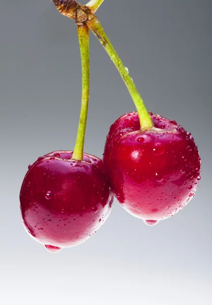 Two cherries — Stock Photo, Image