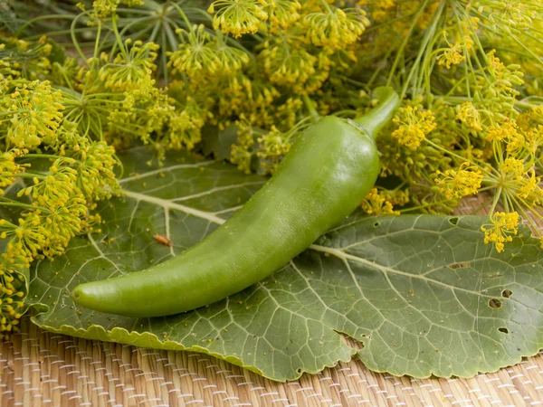 Bitter green pepper — Stock Photo, Image
