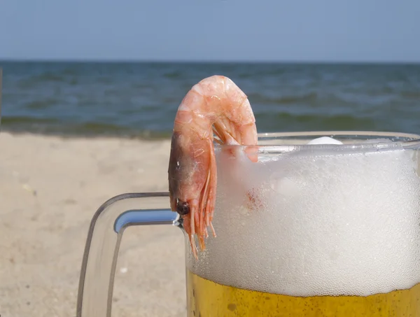 上一杯啤酒虾 — 图库照片
