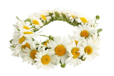 Wreath of chamomiles clipart
